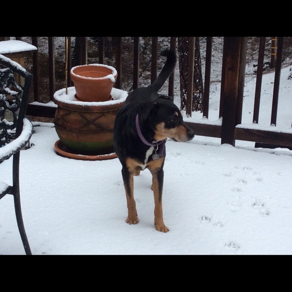 Meet your Posher, Victoria - Picture 9 of 14